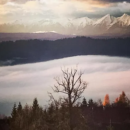 Gorgeous In With House A Mountain View Huba